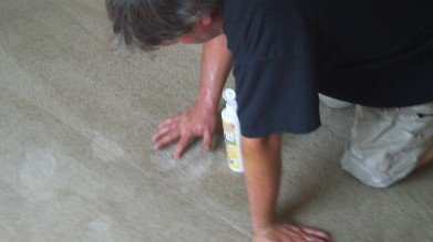 Cape Coral Carpet Cleaning