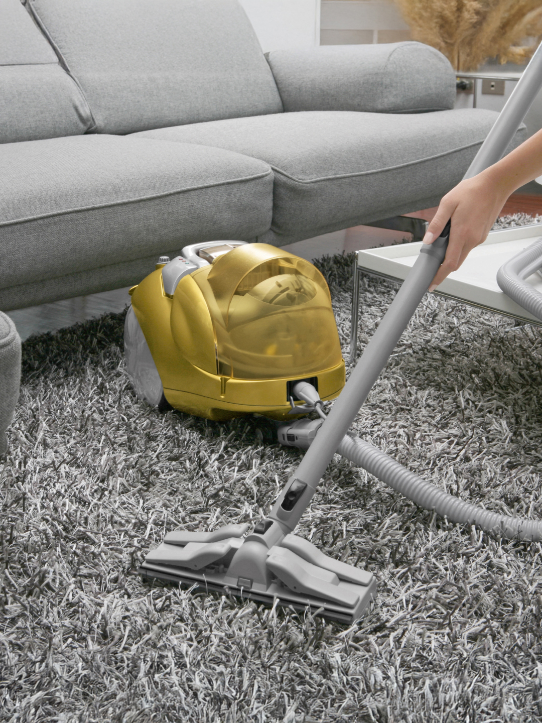 Carpet cleaning, Regular cleaning, Room cleaning