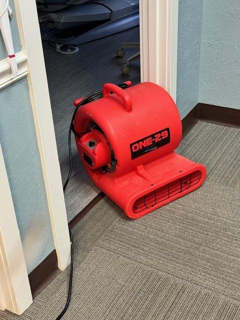 carpet cleaning Cape Coral