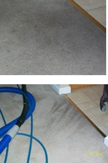 truckmount carpet cleaning cape coral