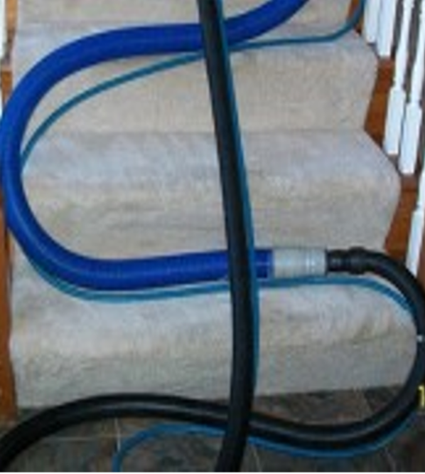carpet cleaning Cape Coral