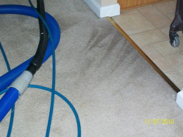 carpet cleaners cape coral