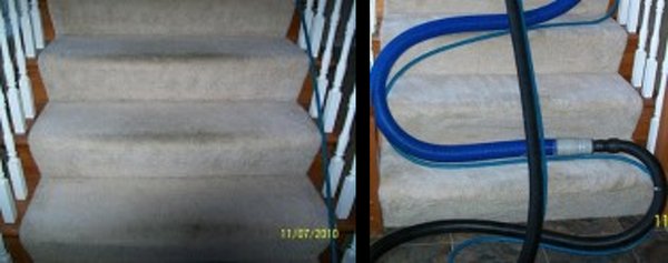 carpet cleaning cape coral