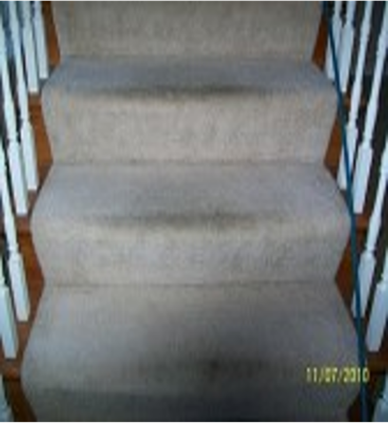 carpet cleaning Cape Coral 