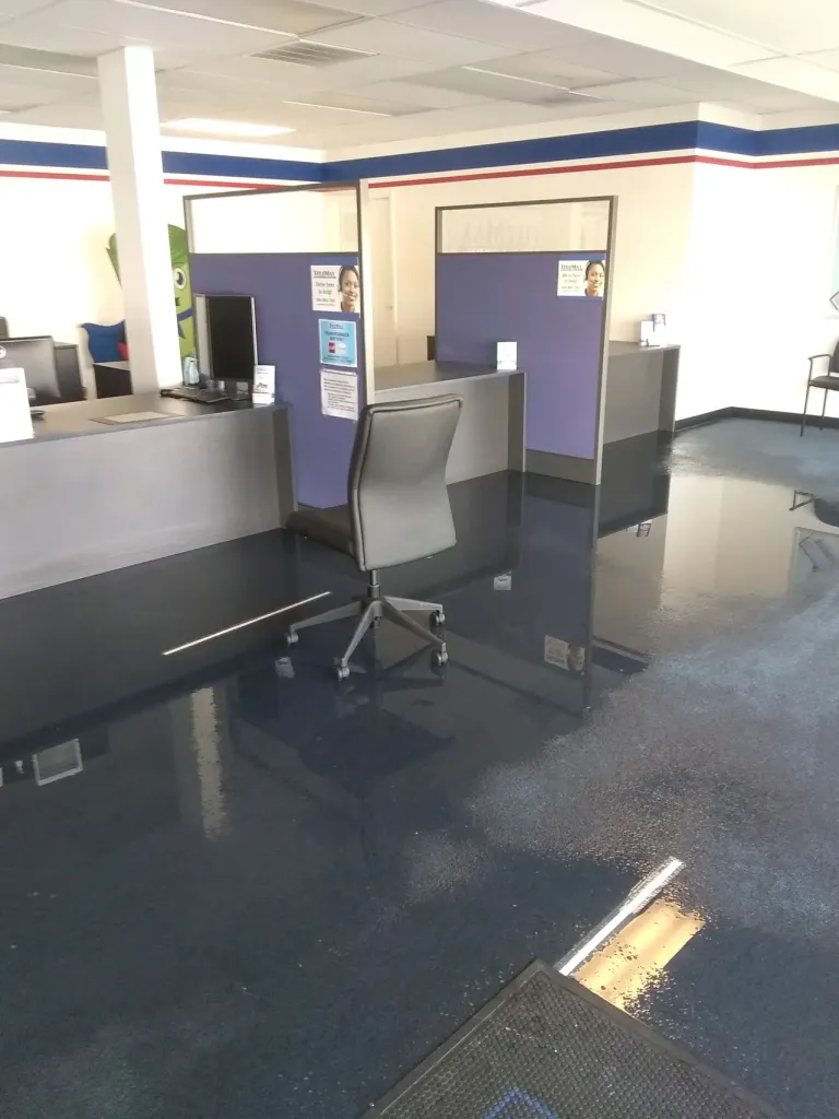 Cape Coral carpet cleaning